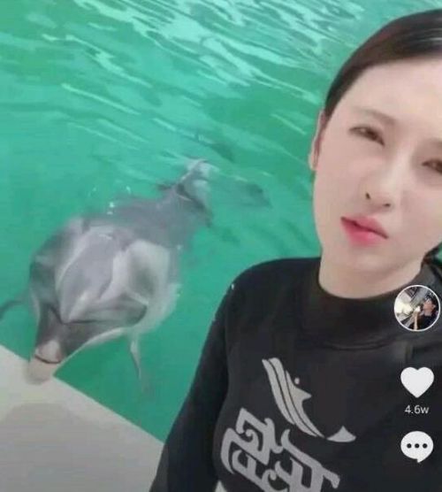 Who is the goddess of dolphins in Tik Tok? Her personal information is called Chen Yihui, Tik Tok ID sharing.